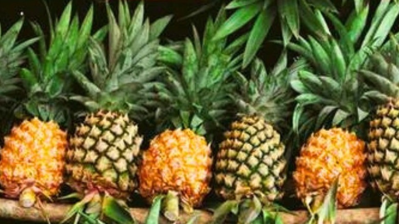 Selection of organic Kew pineapples