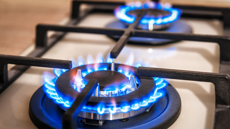 Gas stove flame