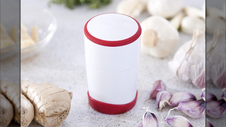 A Leifheit gourmet garlic slicer