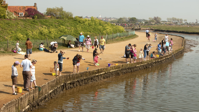 families crabbing on coast