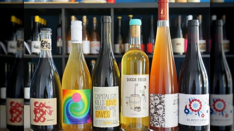 Lineup of natural wine bottles