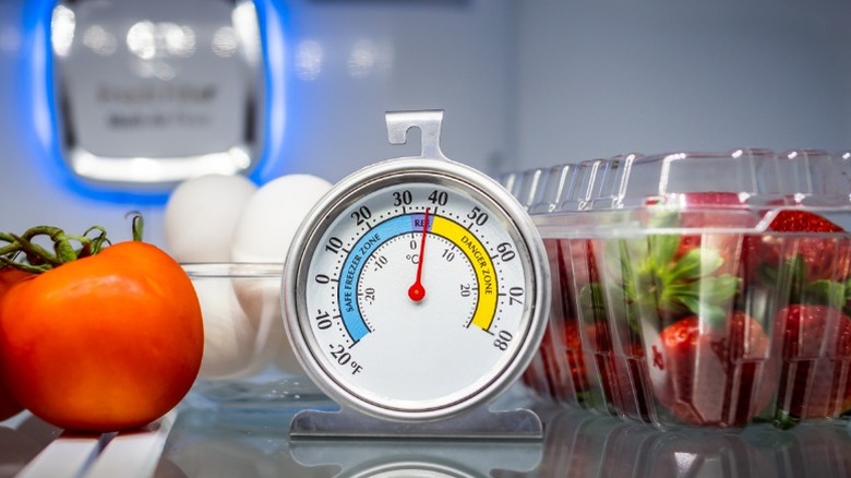 Thermometer inside a fridge