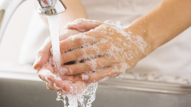 Closeup of hands being washed at a sink