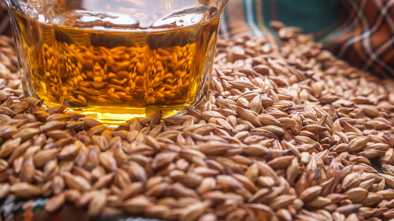 a whisky glass resting on grains