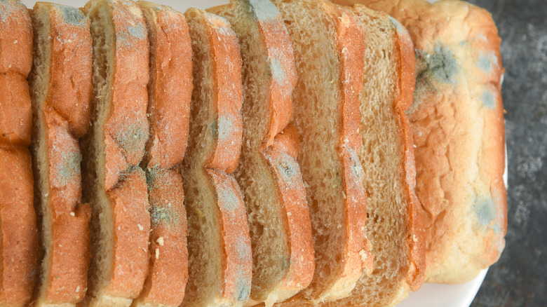 Moldy bread slices