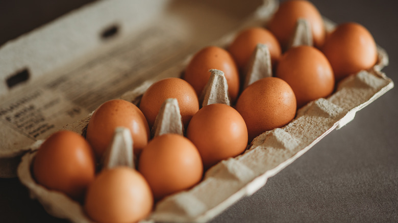 Eggs in a carton