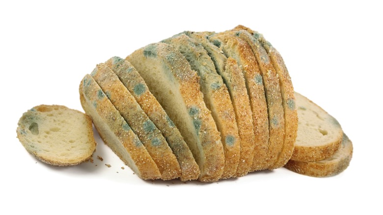 Sliced bread covered with mold