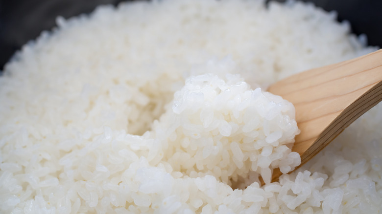 Wooden spoon in steamed rice