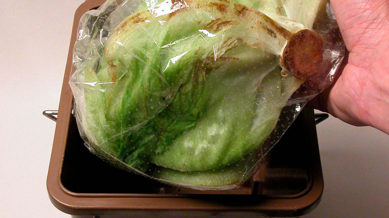 Putting spoiled lettuce in trash