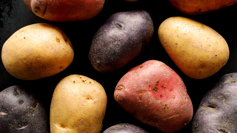 Pile of various kinds of potatoes
