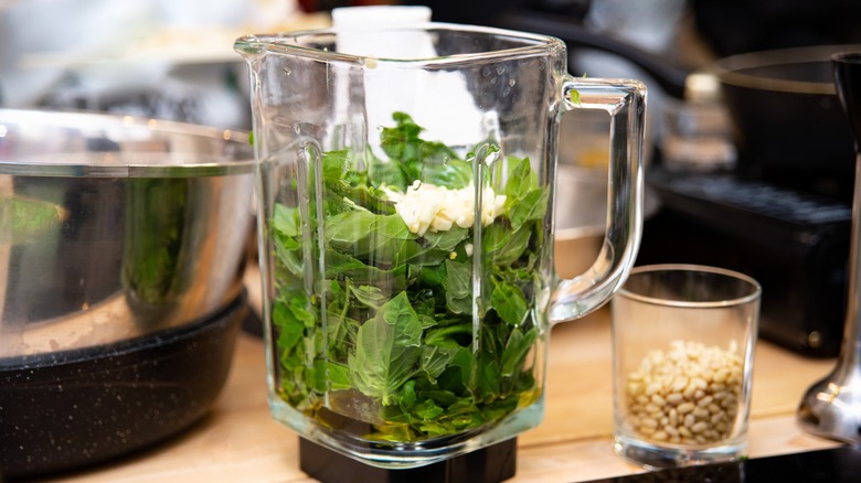 Preparing pesto in a jug blender