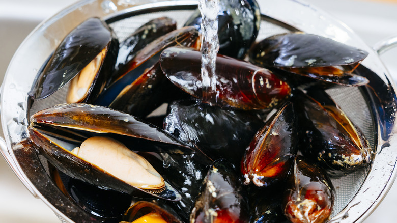 close-up of water pouring on shiny mussels in metal strainer