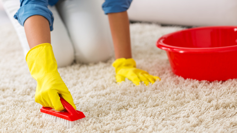 woman kneels and scrubs carpet with brush with only knees and gloved hands visable