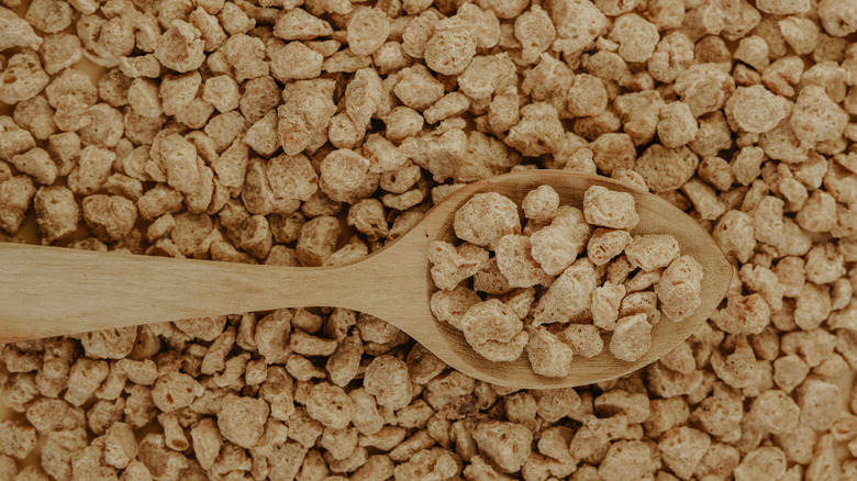 Textured soy protein