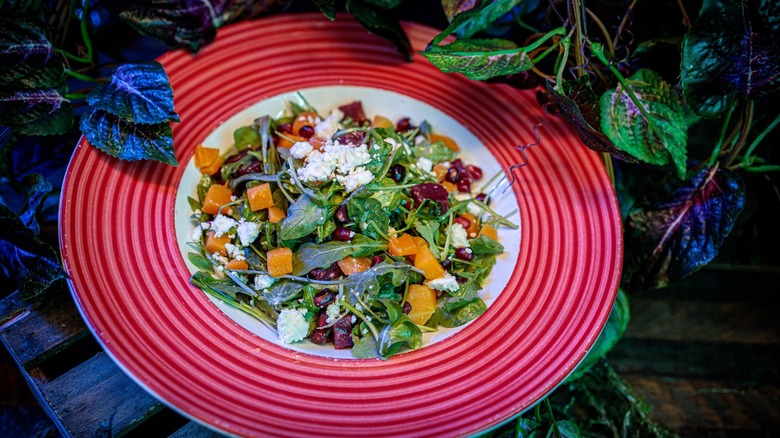 Knott's Spooky Farm Angry Autumn Salad