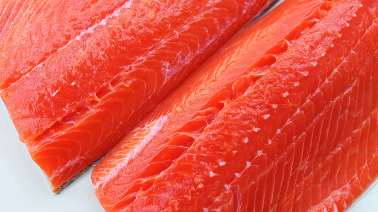 close-up salmon filets