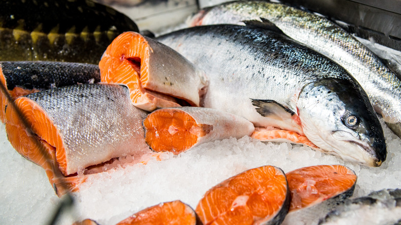 whole salmon and cut portions