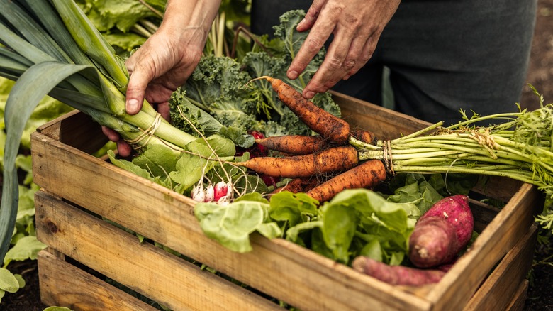 Farm-fresh veggies