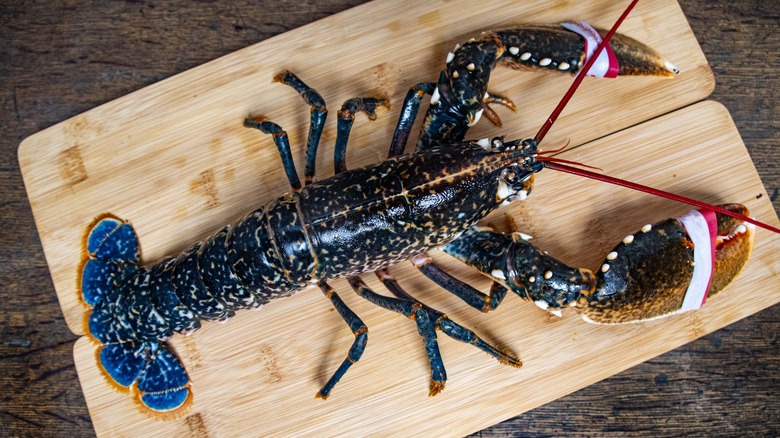 Lobster on cutting board