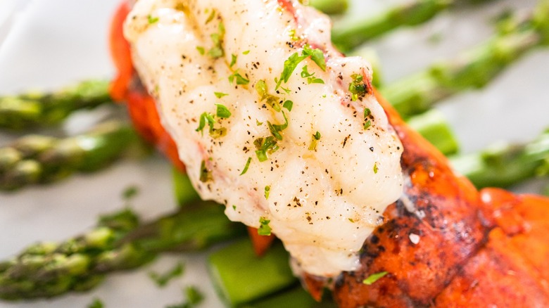 Macro shot of lobster tail