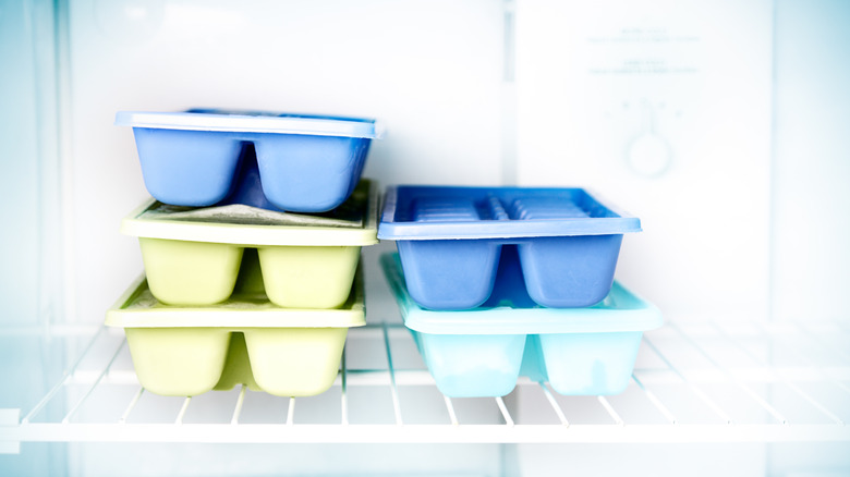 ice cube trays in freezer