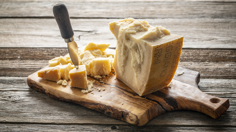 cheese knife in Parmigiano wedge