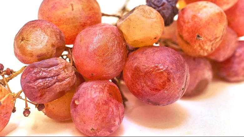 Wrinkly red grapes