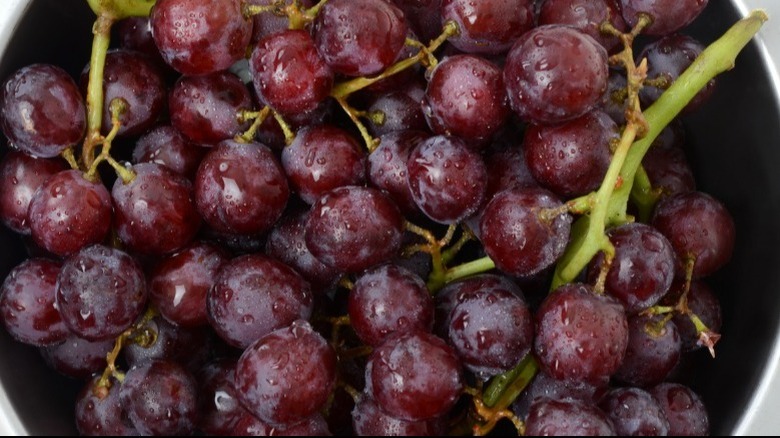 Close-up of wet grapes