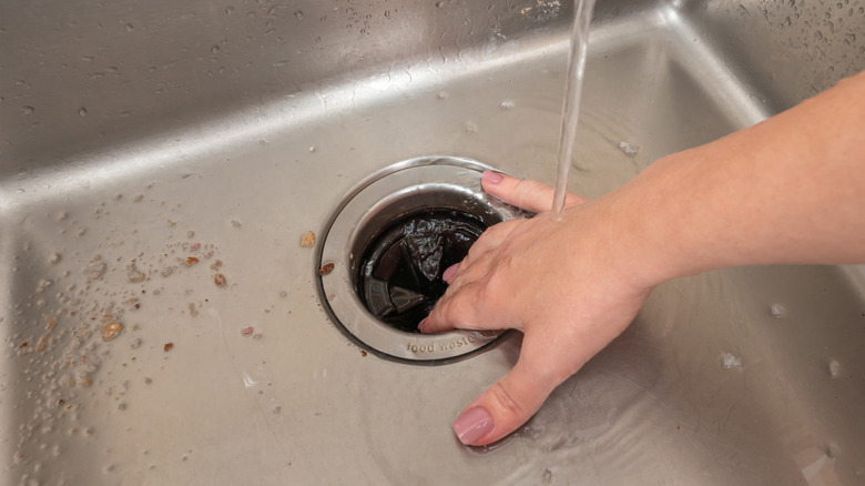 A person's hand on garbage disposal