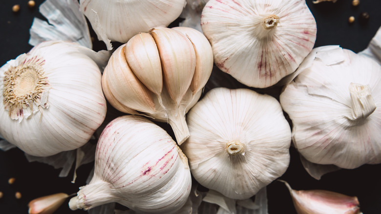 Bulbs of garlic