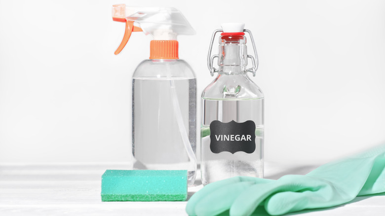 Spray bottle, vinegar