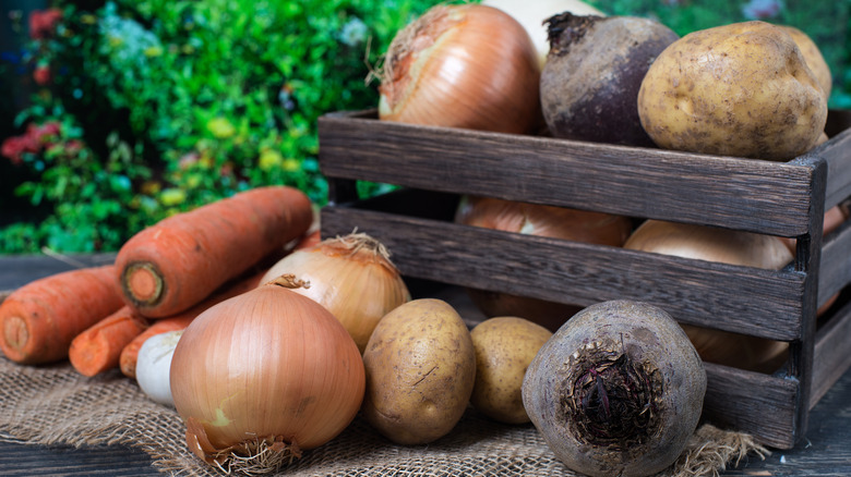 veggie variety sitting on counter