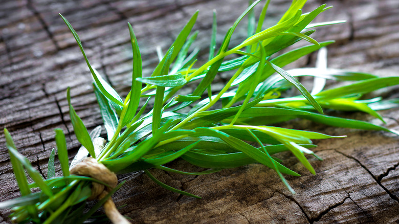 fresh tarragon leaves wrapped wood