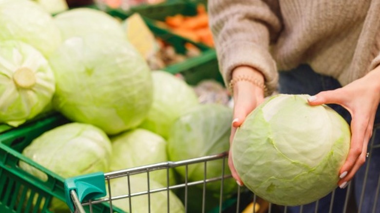 woman shopping for cabbage 