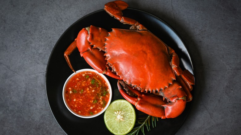 Cooked whole crab on plate with dipping sauce and lime