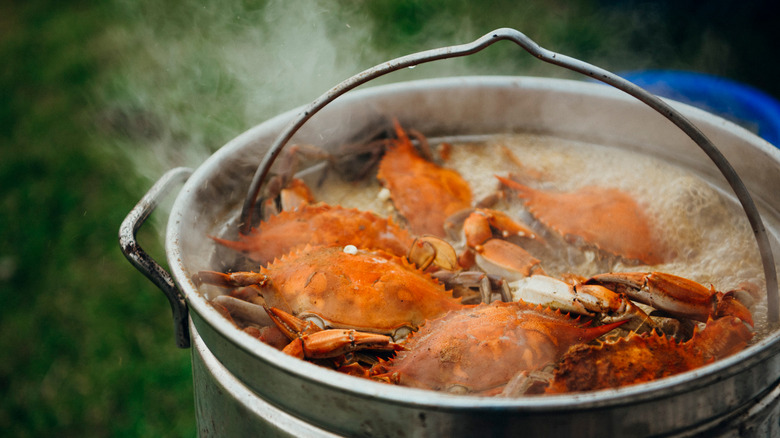 Pot of crabs in boiling liquid