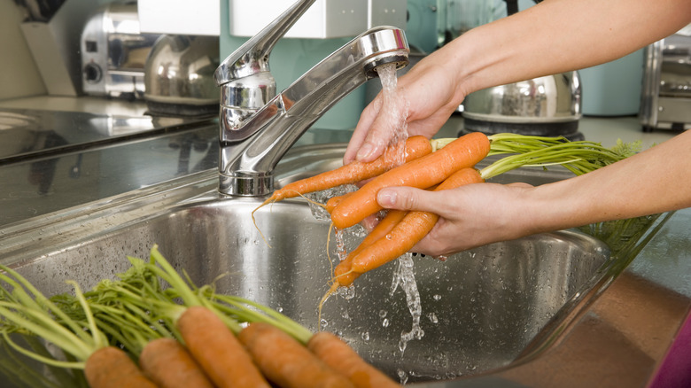 Freshly washed carrots