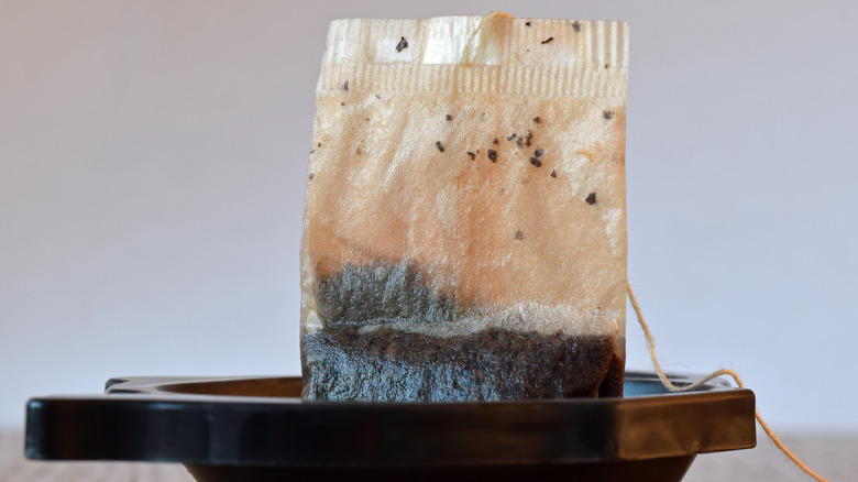 Used tea bag