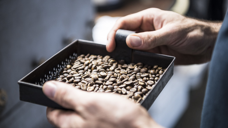 holding coffee beans