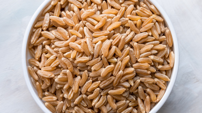 Bowl of uncooked kamut grains