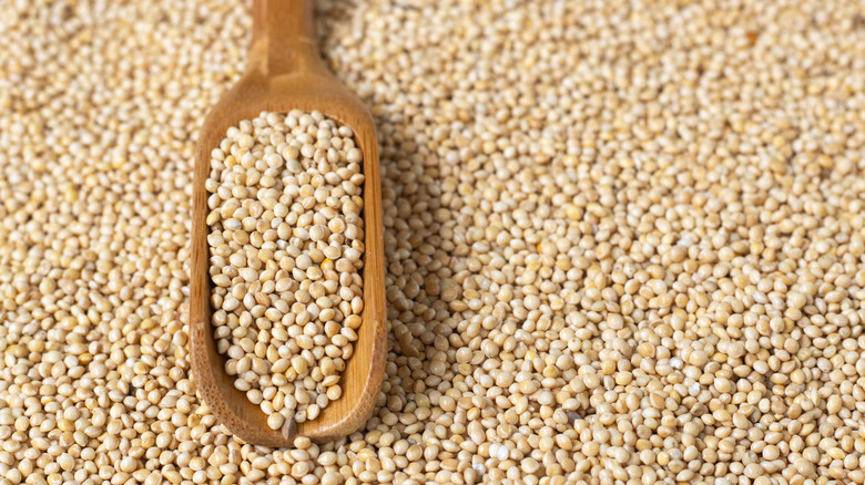 Wooden spoon scooped into a pile of millet