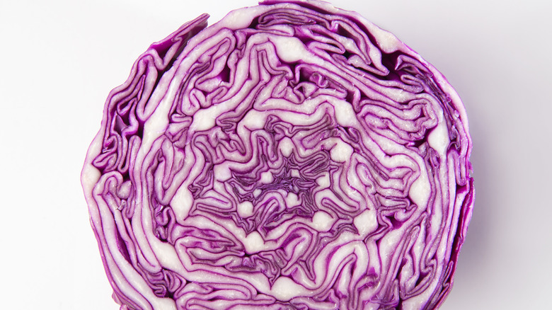 Halved red cabbage