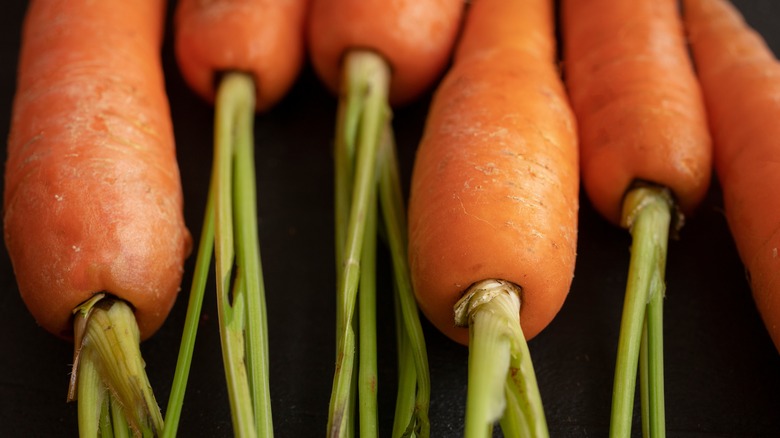 Orange carrots and tops