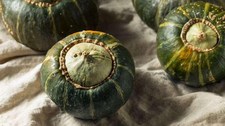 buttercup squash