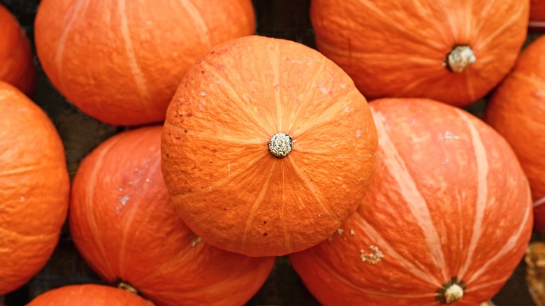 red kuri squash