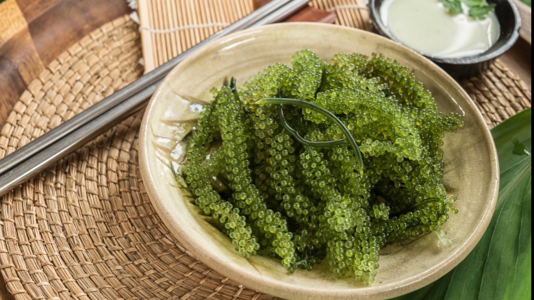 Umibudo sea grapes on plate