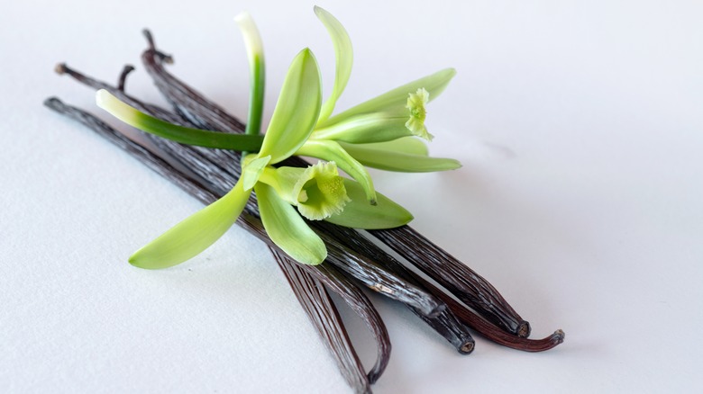 vanilla beans 