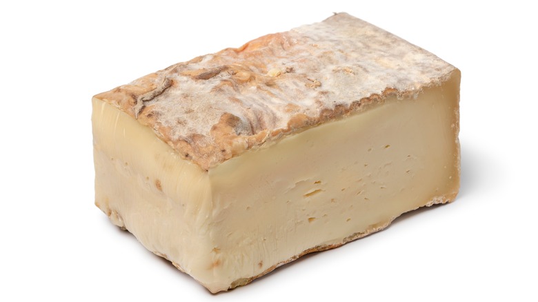 Block of taleggio with its famous pale orange rind
