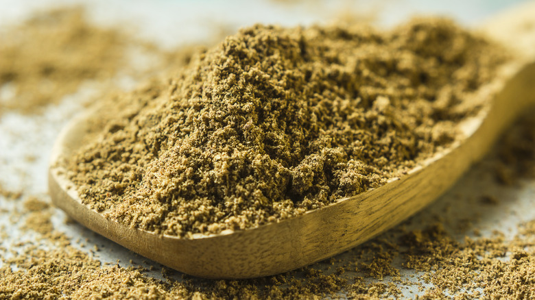 Garam masala on a spoon