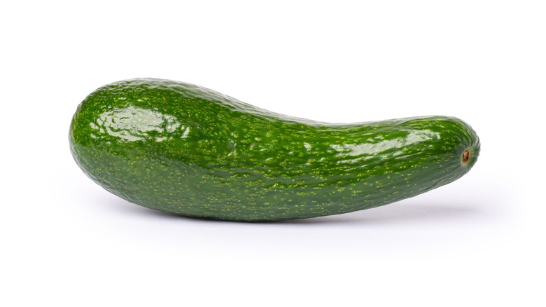 long neck avocado 